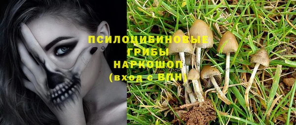 прущие крисы Елабуга