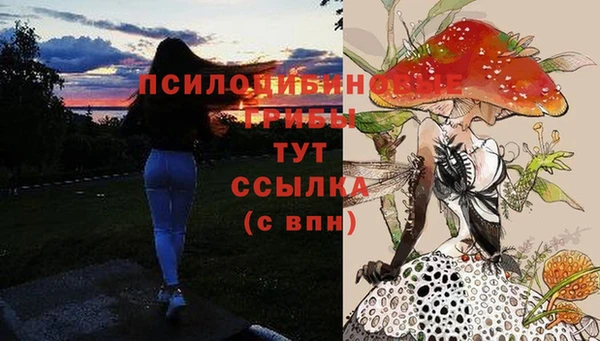 прущие крисы Елабуга