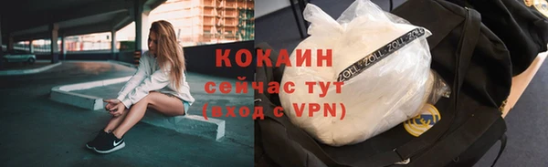 мет Заводоуковск